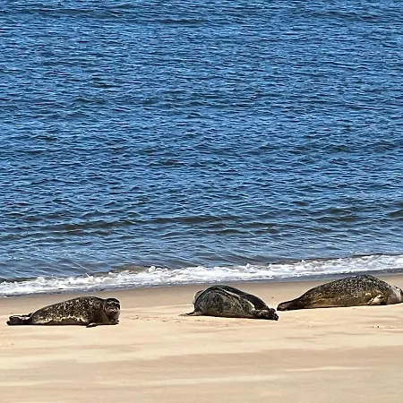Cosy Testerep , Newly Renovated Apartment Ostend