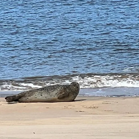 Cosy Testerep , Newly Renovated Apartment *