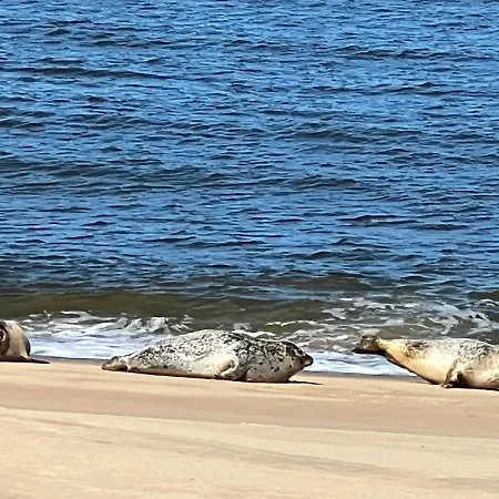 Cosy Testerep , Newly Renovated