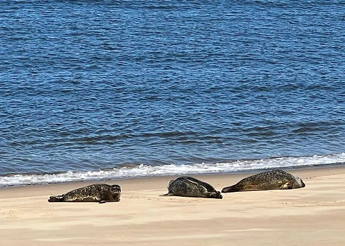 Cosy Testerep , Newly Renovated Apartment Ostend