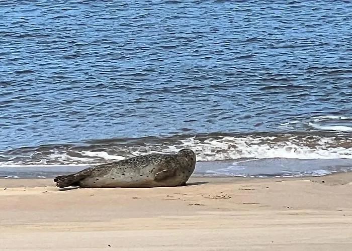 Cosy Testerep , Newly Renovated Apartment *