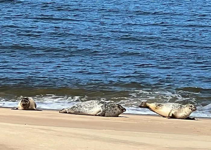 Cosy Testerep , Newly Renovated